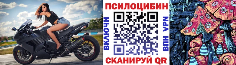 omg ссылка  Мичуринск  darknet телеграм  где найти   Псилоцибиновые грибы GOLDEN TEACHER 
